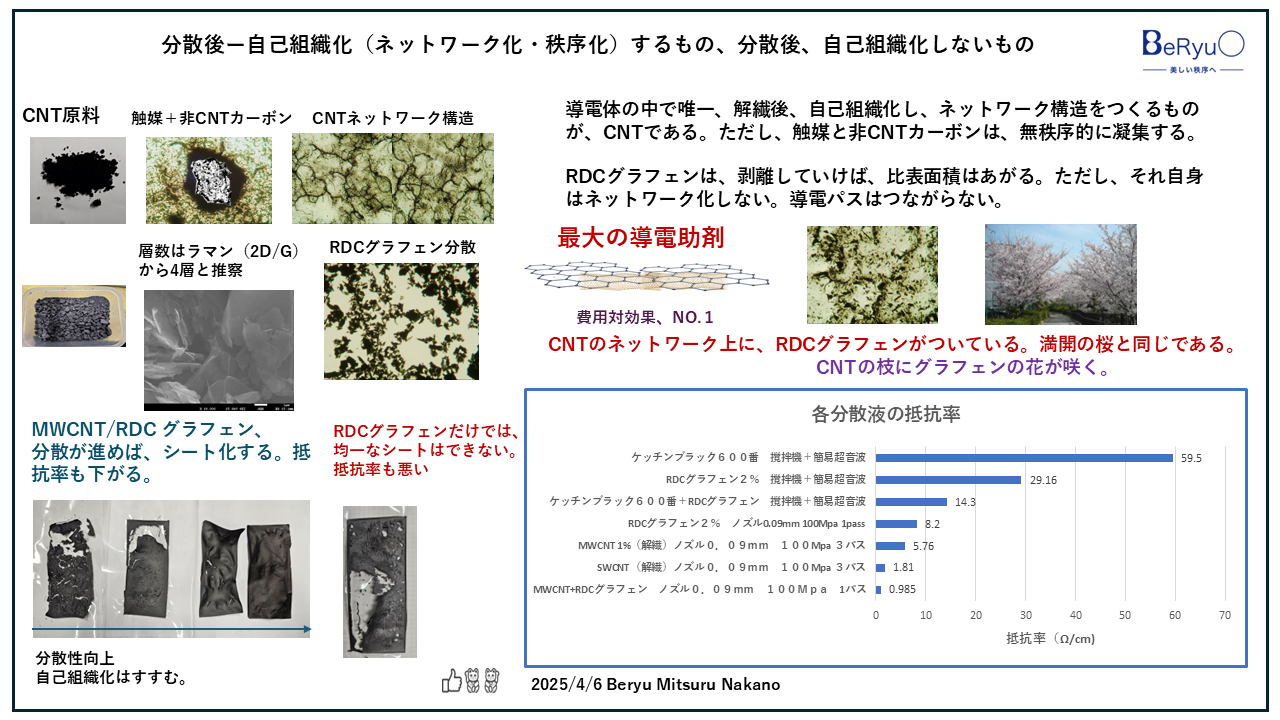 20250406CNTの枝にグラフェンが咲く